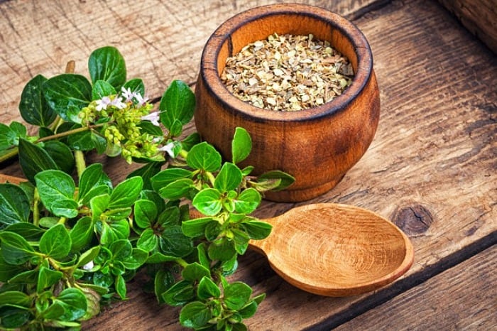 مرزنجوش ۵۰ گرمی