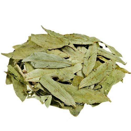 برگ سنا 100گرمی