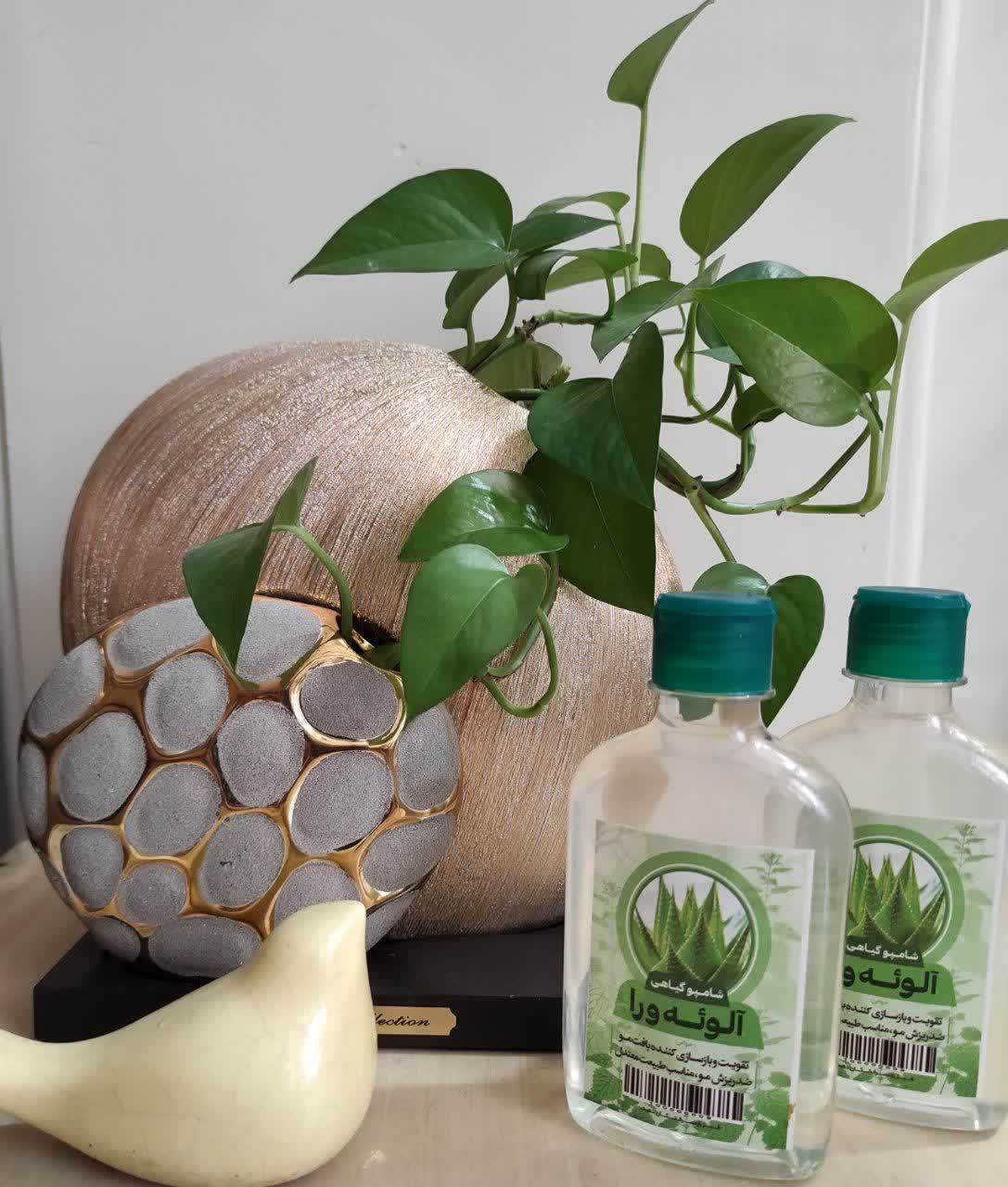 شامپو آلوئه ورا