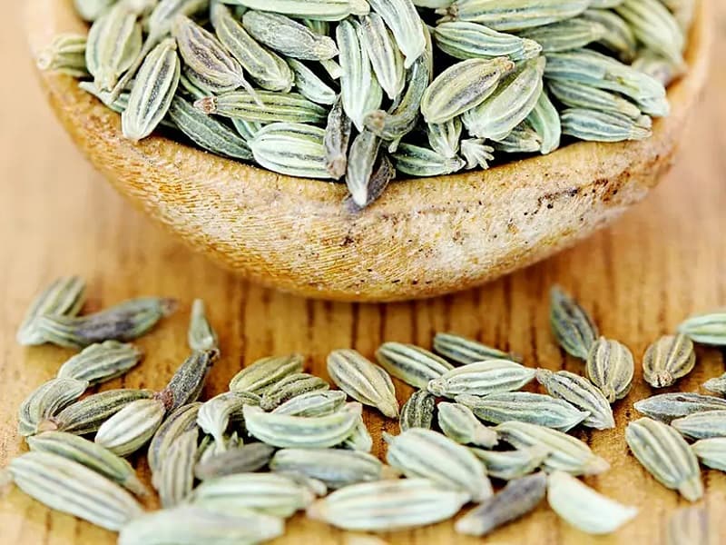 رازیانه / قوطی ۱۰۰ گرمی