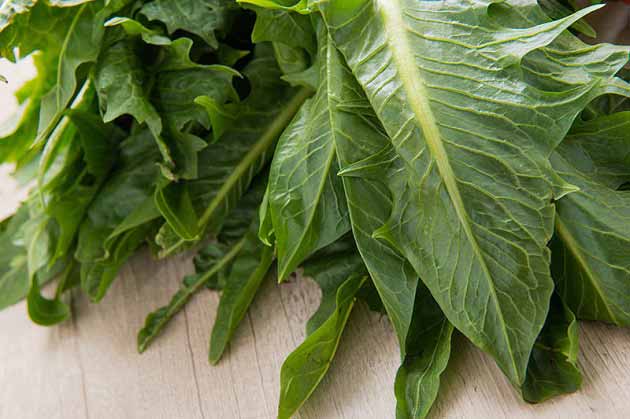 برگ کاسنی 50گرمی