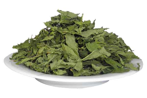 نعناء خشک بومی 100گرمی