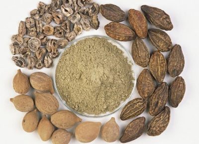 هلیله کابلی 100گرمی