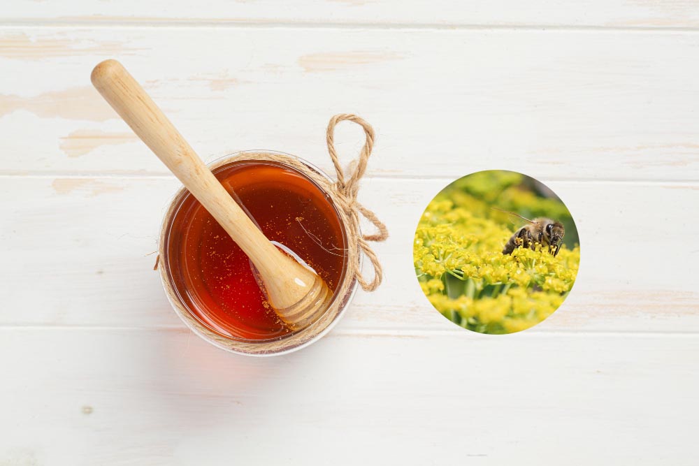 عسل رازیانه یک کیلویی