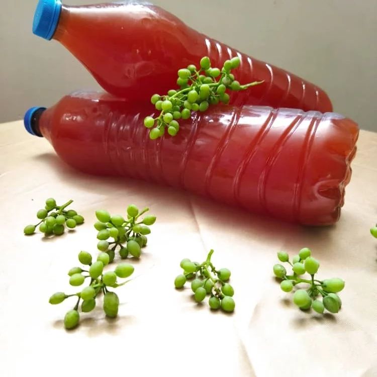 آبغوره خانگی شیشه کوچک ممتاز