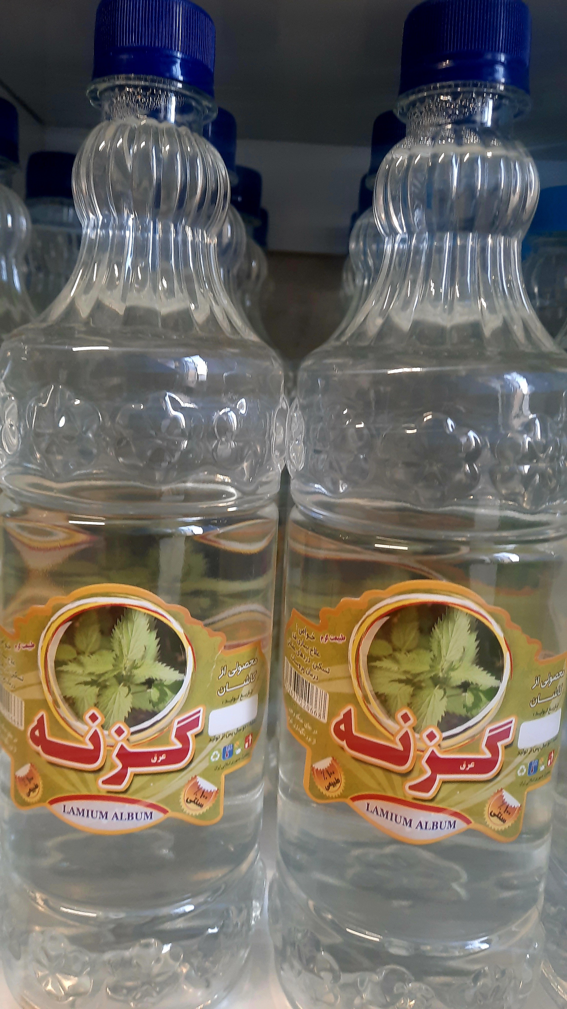 عرق گزنه ممتاز کوچک