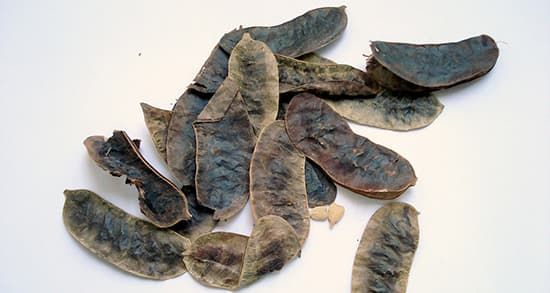 برگ سنا 100گرمی